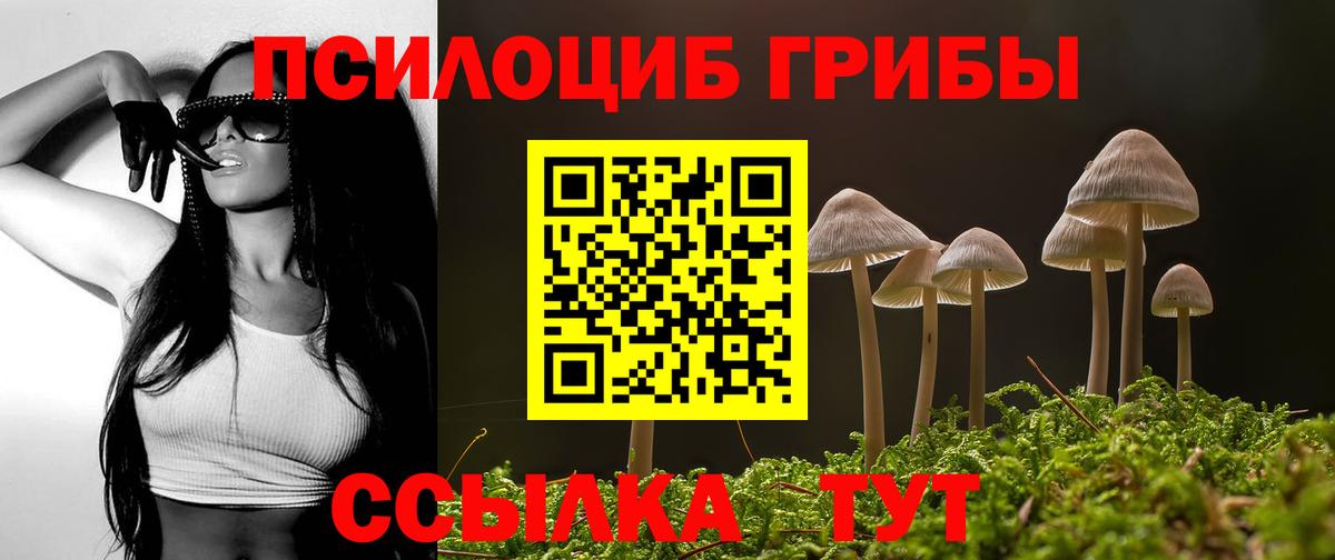 Апшеронск  Галлюциногенные грибы мицелий  Псилоцибиновые грибы GOLDEN TEACHER  Вход с VPN 